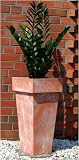 Eigenschaften AE Trade  / Blumenkübel Pflanzkübel Pflanzgefäße Übertöpfe Blumentöpfe aus Polyresin 