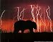 Bear In Lightning Storm Awesome Art Poster Print - 20 X 16