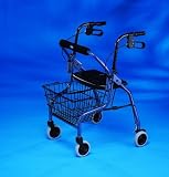 Sandstorm Rollator