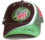 Dale Earnhardt Jr #88 AMP Mountain Dew Chase Authentics Hat Cap
