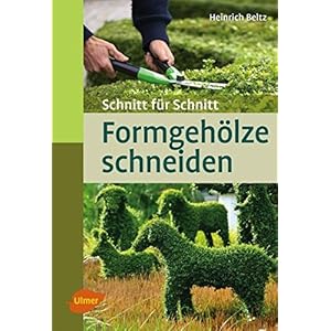 Formgehölze schneiden: Schnitt für Schnitt