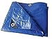 Tarp, Polyethylene, Blue, 10x12 ft