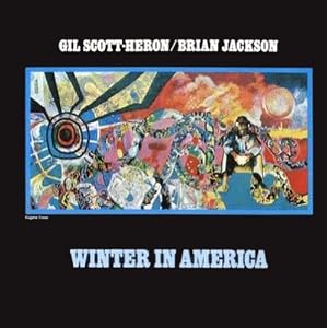 Winter in America [Vinyl]