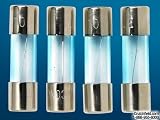 Scosche Platinum-Plated AGU Glass Fuses 4-pack 60-amp