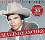 Joyas Musicales