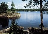 Environmental Graphics C391 Lake In The Woods Wall Mural