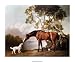 Bay Horse and White Dog - George Stubbs Art Print - Poster