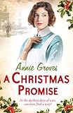 A Christmas promise