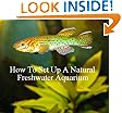 How To Set Up A Natural Freshwater Aquarium