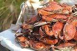 The Crab Place 1 dozen steamed Premium (5¿