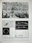 1903 Magnetic Storm Solar Prominences London Merchants