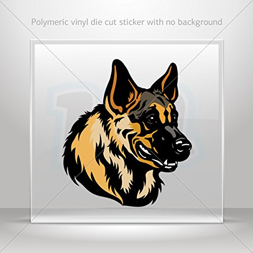 german shepherd car price