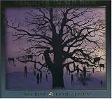 Necrose Evangelicum