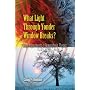 What Light Through Yonder Window Breaks?: More Experiments in Atmospheric Physics (Dover Science Books)