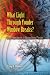 What Light Through Yonder Window Breaks?: More Experiments in Atmospheric Physics (Dover Science Books)