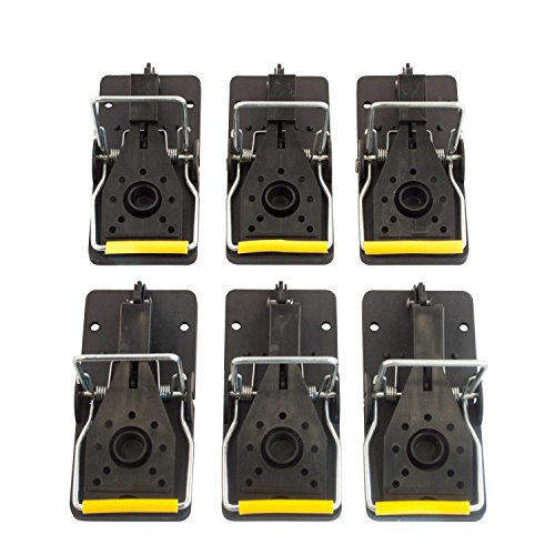Aspectek Mouse Trap 6-pack, Easy Reusable Mouse Control Snap Traps Set