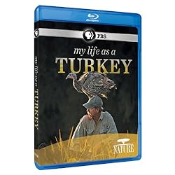 Nature: My Life as a Turkey [Blu-ray]