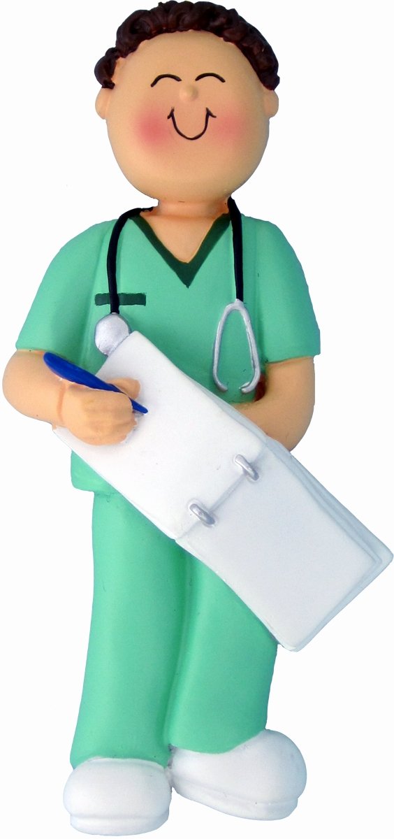 A Man's Guide to a Nursing Career: 9780826106858: Medicine ...