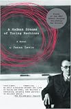 A Madman Dreams of Turing Machines