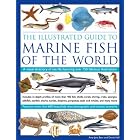The Illustrated Guide to Marine Fish of The World: A Visual Directory of Sea Life... by Amy-Jane Beer