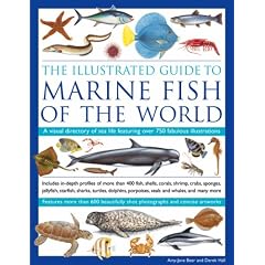 Illustrated Guide to Marine Fish of the World: A Visual Directory of Sea Life