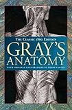 Gray's anatomy