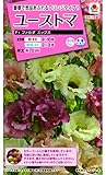 タキイ種苗ユーストマF1 ファルダミックス