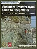 Sediment transfer from shelf to deep water : revisiting the delivery system