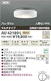 コイズミ照明　アウトドアライト【AU42189L】