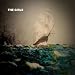 Remote View / Lord Auch