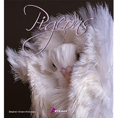 Pigeons de luxe