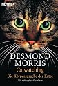 Catwatching: Die Körpersprache der Katzen