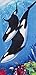 SCKVAOU Bahia Collection by Dohler Whale Family Velour Brazilian Beach Towel 30x60 Inches