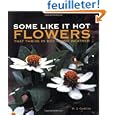 gaillardia Some Like gaillardia Some Like