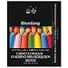 Bienfang 14-Inch by 17-Inch Side Spiral Bound Sketch Pad, 100 Sheets