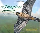 The Peregrine's Journey: A Story of Migration
