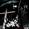 Lost in Blue 初回生産限定盤CD+DVD「Lost in Blue」PV付
