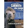 La Storia Del Cammello Che Piange