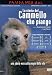 La Storia Del Cammello Che Piange