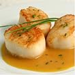 Fresh Maine Scallops