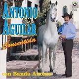 Consentida