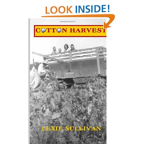 Cotton Harvest