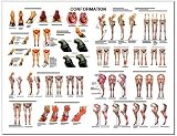 Equine Conformation Anatomical Chart Laminated