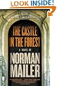 The Castle in the Forest: A Novel