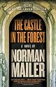 The Castle in the Forest: A Novel