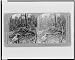 Holes torn out by hugh shells. Where our boys fought in Belleau Woods, France Reprint...