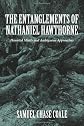 The entanglements of Nathaniel Hawthorne : haunted minds and ambiguous approaches