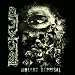 Search : Violent Reprisal