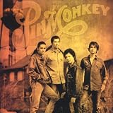Pinmonkey