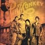 Pinmonkey